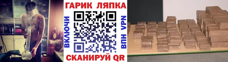 ГАШ Premium  Добрянка 