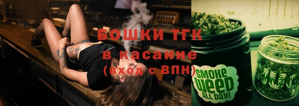ECSTASY Вяземский