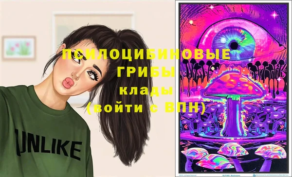 MDMA Бородино