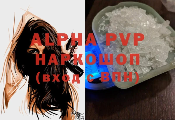 ECSTASY Вяземский
