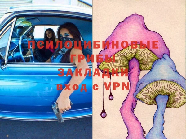 сатива Бронницы
