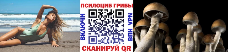 Псилоцибиновые грибы Magic Shrooms  гидра онион  Добрянка  наркота 